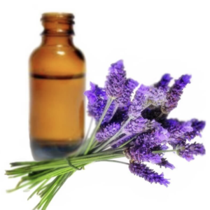 Lavender Fragrance Oil