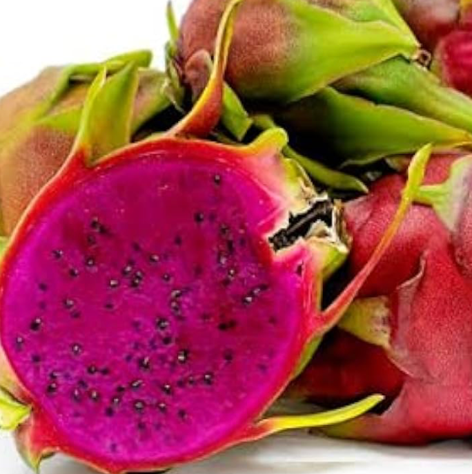 Orchid Fragrance Oil